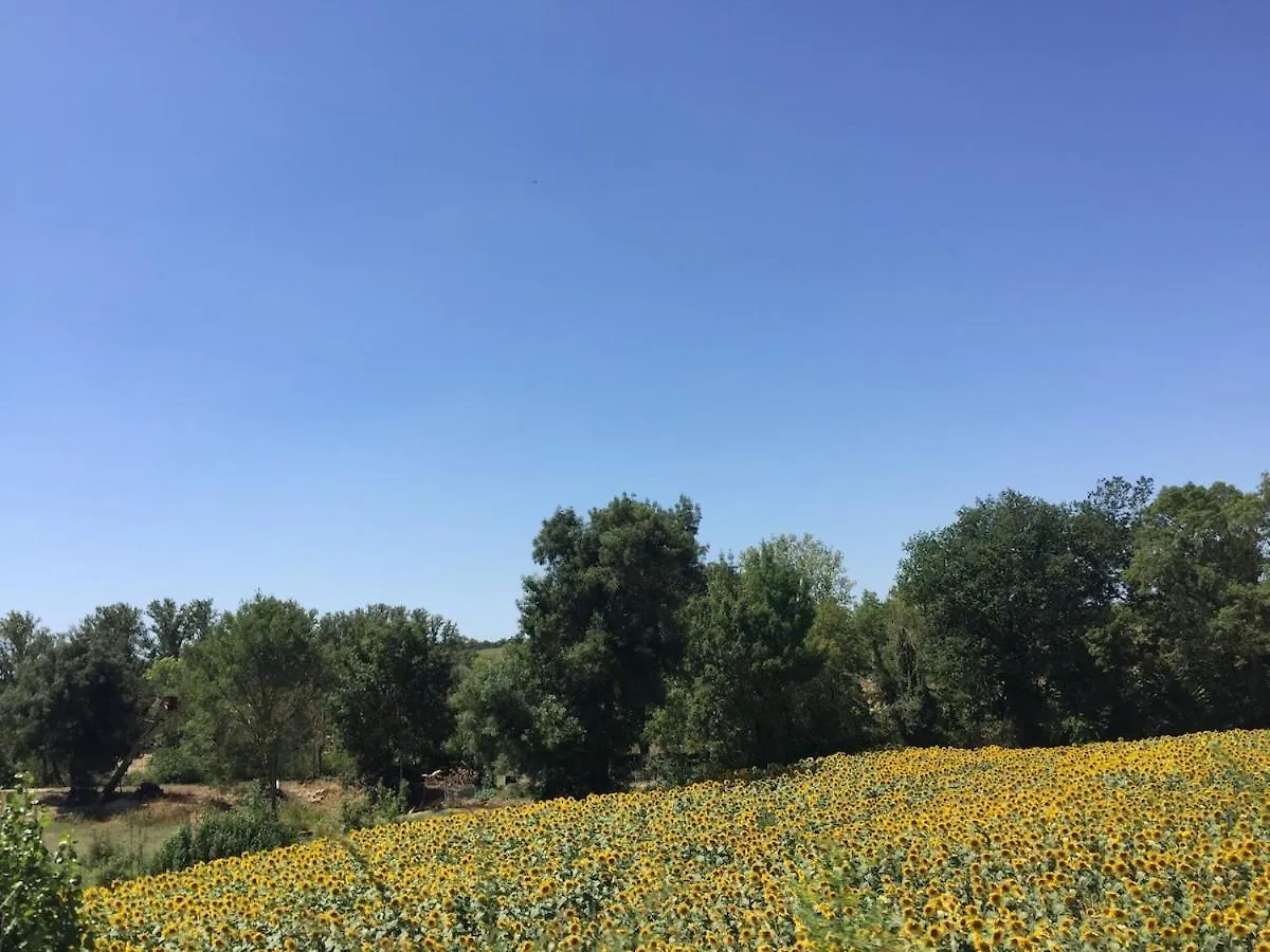 別荘 Roquepoix, A Green Stopover To Explore Gascony Mirepoix